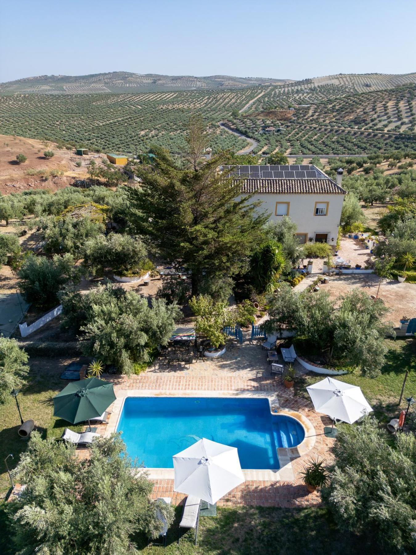 Agroturismo Ecologico El Cortijillo Luque Exteriör bild