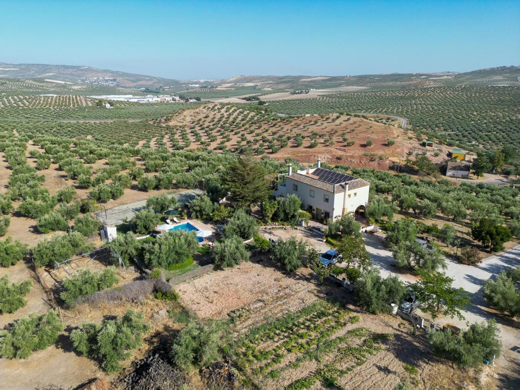 Agroturismo Ecologico El Cortijillo Luque Exteriör bild