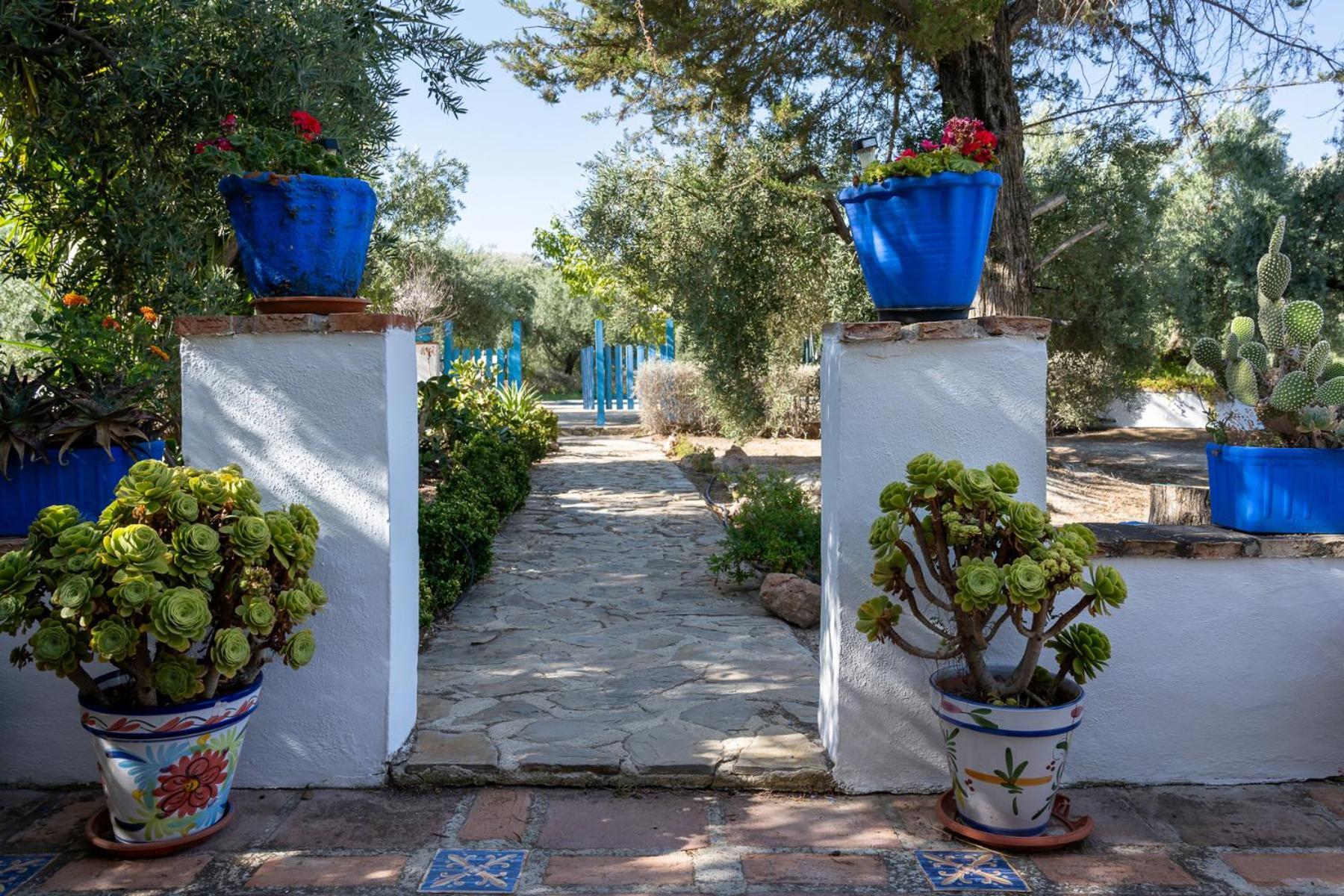 Agroturismo Ecologico El Cortijillo Luque Exteriör bild