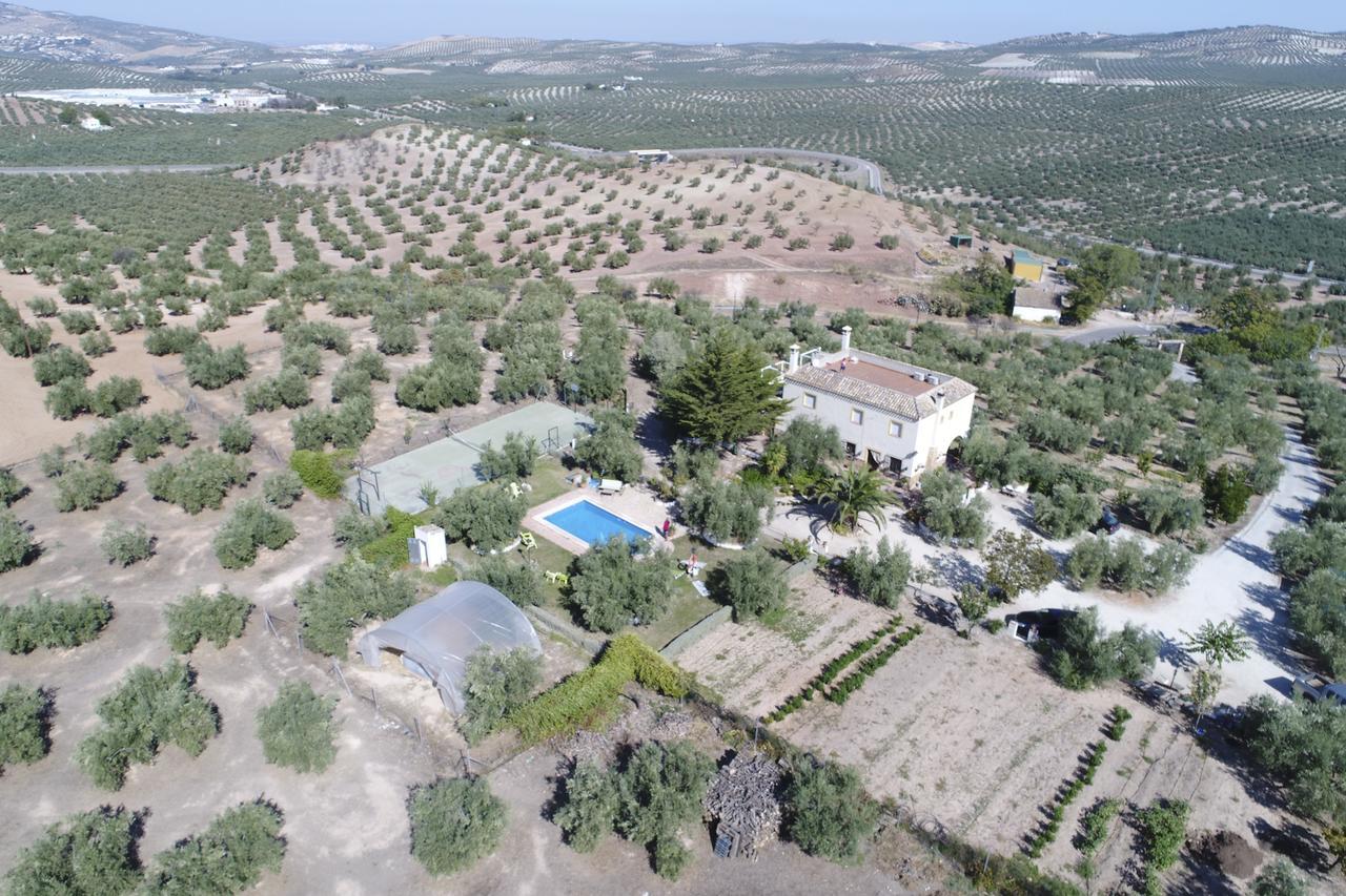 Agroturismo Ecologico El Cortijillo Luque Exteriör bild